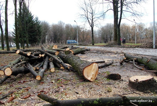 park1.jpg park1.jpg