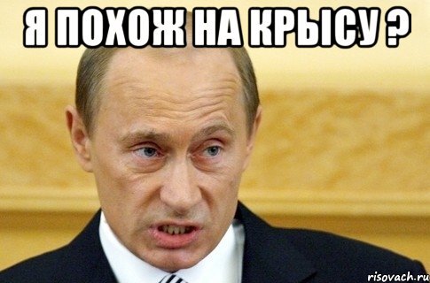 putin_rat.jpg putin_rat.jpg
