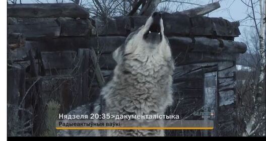 snimokgljuygbn.jpg snimokgljuygbn.jpg