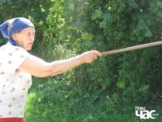 vioska_2014_028_logo.jpg vioska_2014_028_logo.jpg