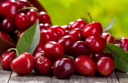 wychnja.jpg wychnja.jpg