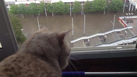 1/8 xg3y2j_w465h262.jpg