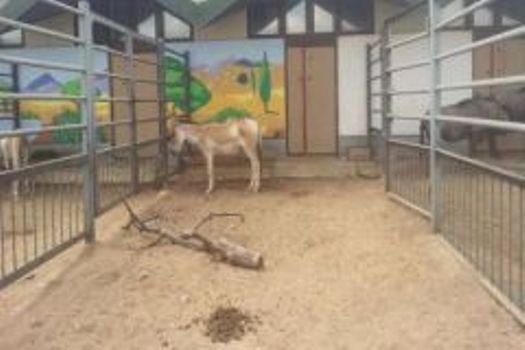 zaaapark.jpg zaaapark.jpg
