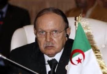 zahruziennoje1.jpg zahruziennoje1.jpg
