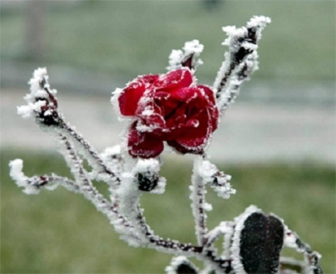 zamoroz.jpg zamoroz.jpg