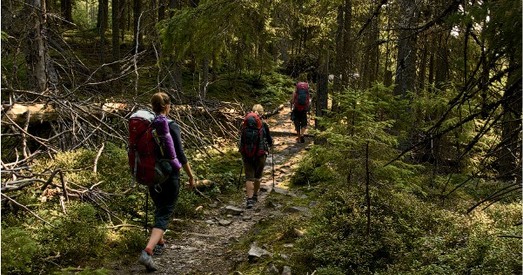 Падрыхтаваны зялёны маршрут па Валожынскім, Маладзечанскім і Вілейскім раёнах
