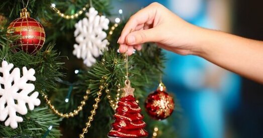 Латвія. У дзяржаўных лясах кожны жыхар можа ссячы адну елку