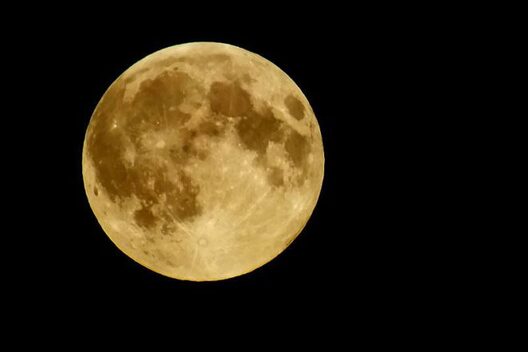 11924551_886092134794613_8521584859518538951_n_660x440.jpg 11924551_886092134794613_8521584859518538951_n_660x440.jpg