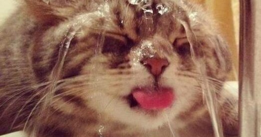 У Гомелі, Віцебску і Магілёве абноўленыя тэмпературныя рэкорды