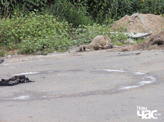 14054247_940211332774951_5660227637430233631_n_logo.jpg 14054247_940211332774951_5660227637430233631_n_logo.jpg