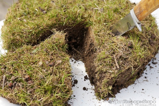 1472023480rejut_zemlyu2_1.jpg 1472023480rejut_zemlyu2_1.jpg