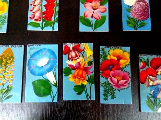 7/13 2016_09_raubiczy_cikietki_img_20160907_105732.jpg