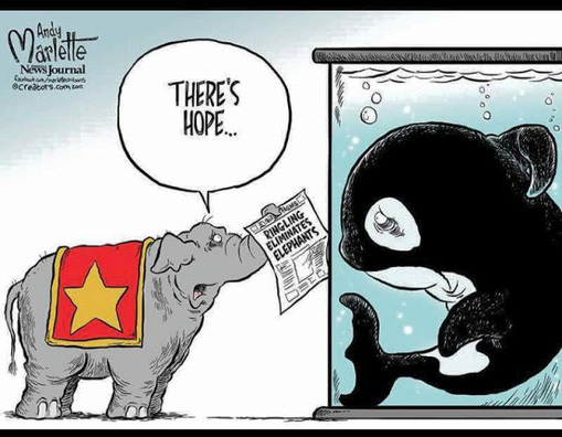 2017_ringling_circus_cartoon.jpg 2017_ringling_circus_cartoon.jpg