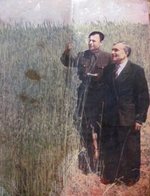 Дзенісенка — старшыня калгасу імя Жданава, разам са старшынёй выканкаму Любчанскага пасялковага савета В. Салабуціным аглядаюць азімае жыта. Фота А. Карніцкага, часопіс «Сельская гаспадарка Беларусі», 1959 год Дзенісенка — старшыня калгасу імя Жданава, разам са старшынёй выканкаму Любчанскага пасялковага савета В. Салабуціным аглядаюць азімае жыта. Фота А. Карніцкага, часопіс «Сельская гаспадарка Беларусі», 1959 год