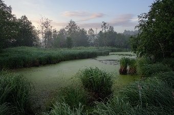 Фота: moyby.com Фота: moyby.com