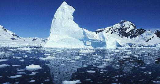 Ля Антарктыды ўзнікне найбуйнейшы ў свеце марскі запаведнік