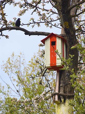 1/4 biel_cyrvona_bielaja.jpg