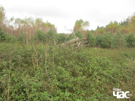 Здзічэлы засценак Пунькі — малая радзіма творцы Здзічэлы засценак Пунькі — малая радзіма творцы