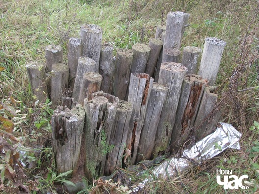 4/5 drazdovicz_8_logo.jpg