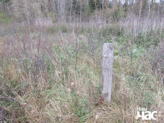 5/5 drazdovicz_9_logo.jpg