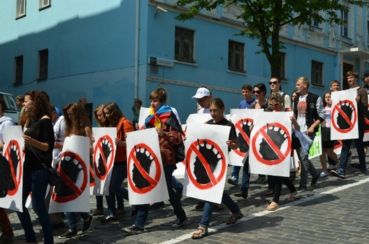 dsc_0194.jpg dsc_0194.jpg