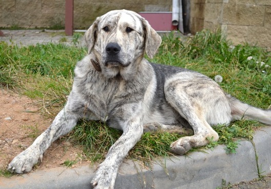 dsc_0411.jpg dsc_0411.jpg