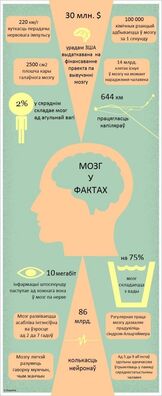 fakti_pra_mozg.jpg fakti_pra_mozg.jpg