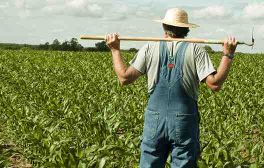 farmer_thinking_lr.jpg farmer_thinking_lr.jpg
