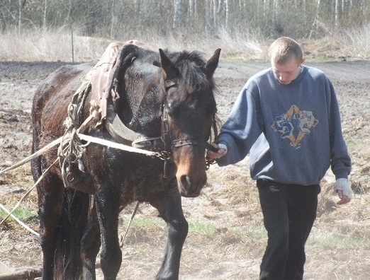 fota_fl_m_napjaredadn.jpg fota_fl_m_napjaredadn.jpg