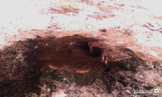 igor_korzun_3.jpg igor_korzun_3.jpg