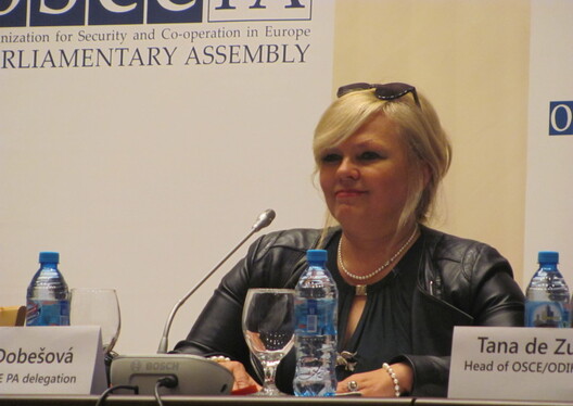 Івана Добешава Івана Добешава