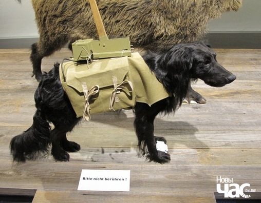 img_4087_logo.jpg img_4087_logo.jpg