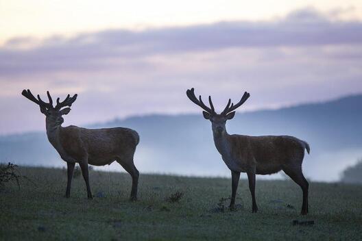 Кадр з фільма "Поры года" Кадр з фільма "Поры года"