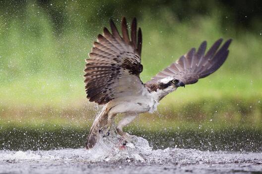 Кадр з фільма "Поры года" Кадр з фільма "Поры года"