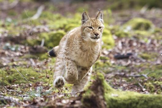 Кадр з фільма "Поры года" Кадр з фільма "Поры года"