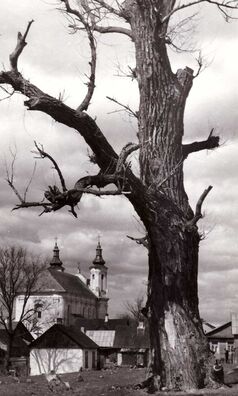 kascjol_svjatoga_andreja_slon_me_1942_g_jpeg.jpg kascjol_svjatoga_andreja_slon_me_1942_g_jpeg.jpg