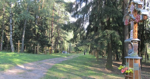 Факты сведчаць: улады бароняць не Курапаты, а інтарэсы бізнесоўцаў