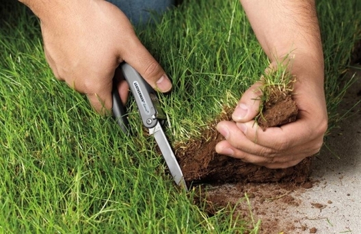 moshennichestvo_s_zemley_2_17.jpg moshennichestvo_s_zemley_2_17.jpg