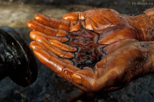 oil_2.jpg oil_2.jpg