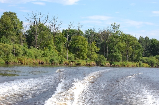 platina2.jpg platina2.jpg