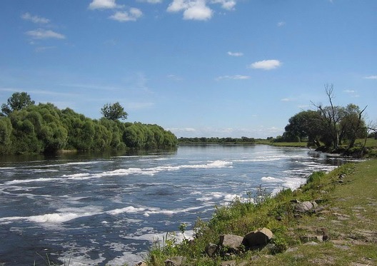 platina4.jpg platina4.jpg