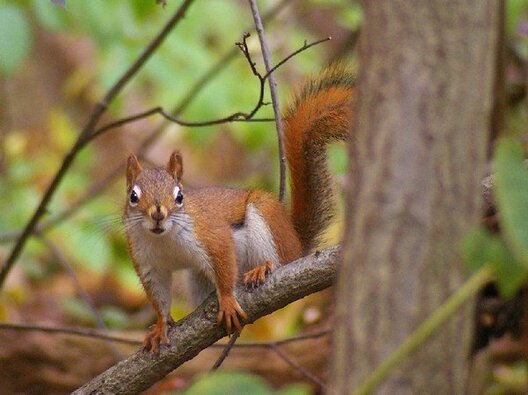 Фота: Alacrity1980 / Flickr Фота: Alacrity1980 / Flickr