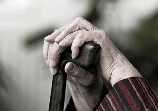 novosti-n.org novosti-n.org