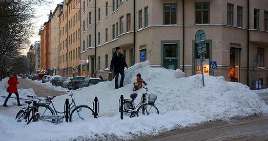 Швецыя. Гендэрная прыборка снегу