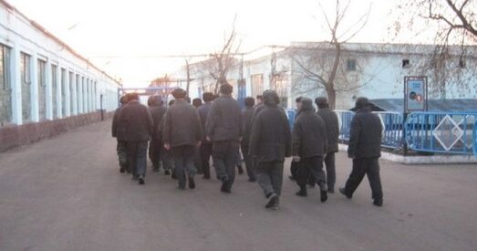 ДВП ухіліўся ад адказу наконт суіцыдаў у калоніі ў Навасадах. На чарзе пракуратура