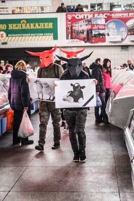 ul7q6df5jpm.jpg ul7q6df5jpm.jpg