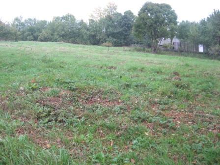 vikanana_001_logo.jpg vikanana_001_logo.jpg