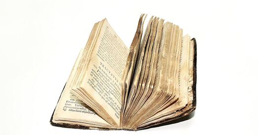 «Гэтая кніга XVIII стагоддзя знікла ў вайну з Будслаўскага манастыра». Вось што знайшлі ў макулатуры!