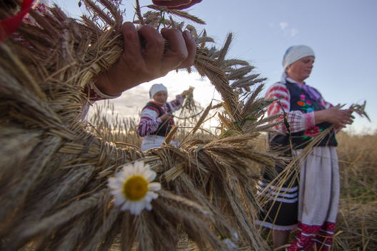 10/32 zazhynki_13.jpg