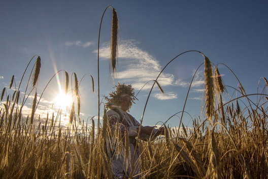 14/32 zazhynki_18.jpg